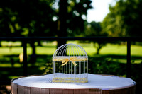 IMG-0015