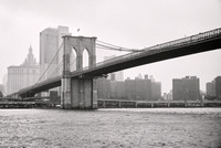 _A010335